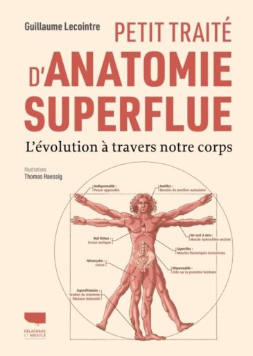 Petit traité d'anatomie superflue: l'évolution à travers notre corps