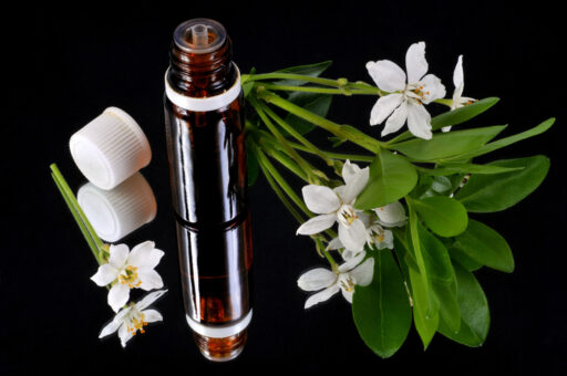 trucs et astuces de santé,trucs et astuces santé,trucs et astuces santé bien-être,trucs et astuces de grand-mère,trucs et astuces santé naturelle