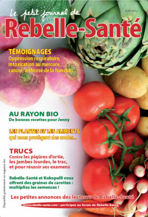 Le Petit Journal n° 156