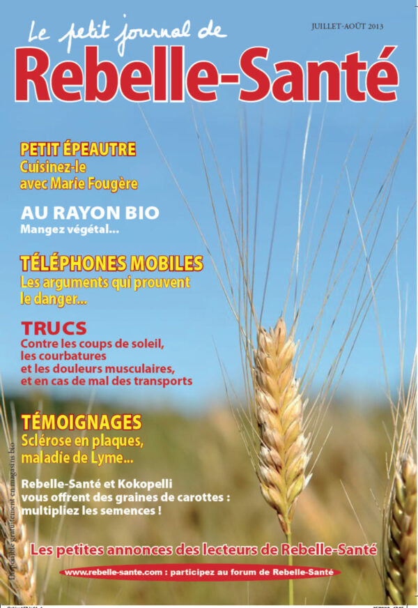 Le Petit Journal n° 157