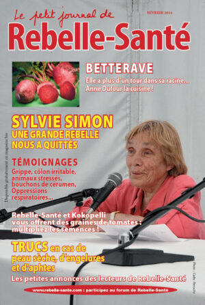 Le Petit Journal n° 162