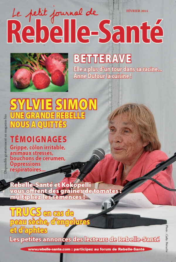 Le Petit Journal n° 162