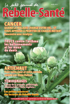 Le Petit Journal n° 163