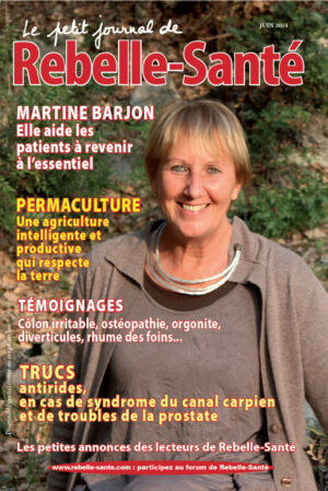 Le Petit Journal n° 166