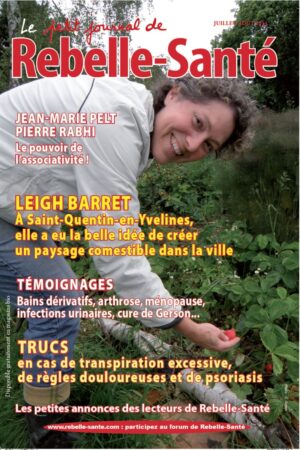 Le Petit Journal n° 167