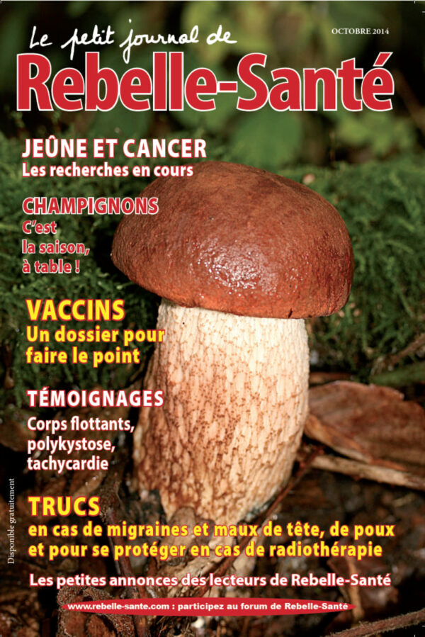 Le Petit Journal n° 169