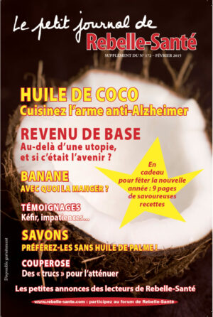 Le Petit Journal n° 172