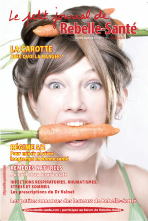 Le Petit Journal n° 173