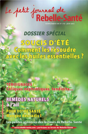 Le Petit Journal n° 176