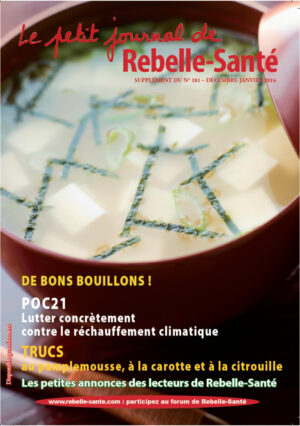 Le Petit Journal n° 181