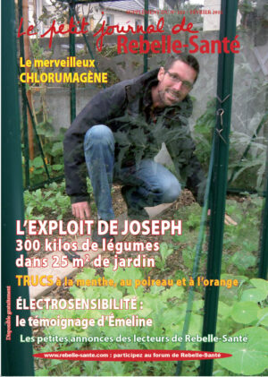 Le Petit Journal n° 182