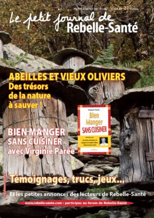 Le Petit Journal n° 187