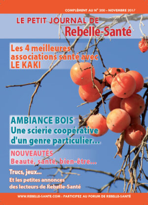 Le Petit Journal n°200