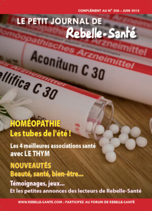 Le Petit Journal n°206