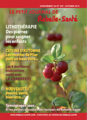 Le Petit Journal n° 209