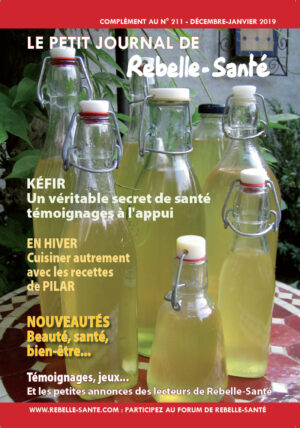 Le Petit Journal n°211