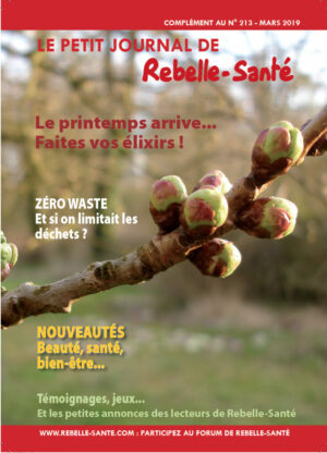 Le Petit Journal n°213