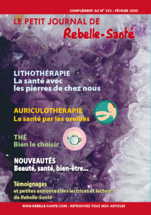 Le Petit Journal n°222