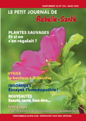 Le Petit Journal n°223