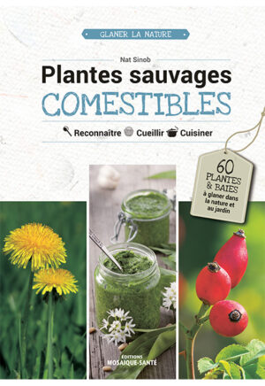 Plantes Sauvages Comestibles