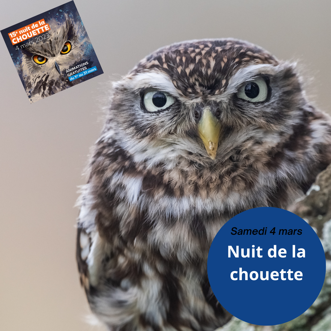 Samedi 4 mars