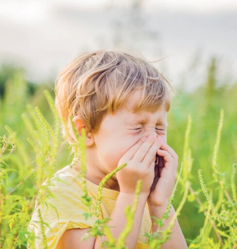 Enfant qui éternue dans un champ de plantes allergènes, illustrant les allergies saisonnières.
