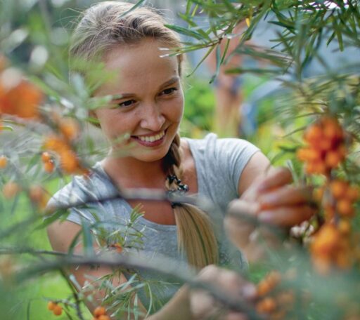 comment faire un jardin bio ?,bio-jardin,comment entretenir un jardin bio ?,au jardin bio,quelle terre pour jardin potager,jardin en biodynamie,jardin bio un moment pour soi,jardin bio produits,jardin bio petit bonheur,potager bio sans pesticide,jardin bio avis,jardin bio calme et sérénité,jardin bio etic,jardin biodiversité