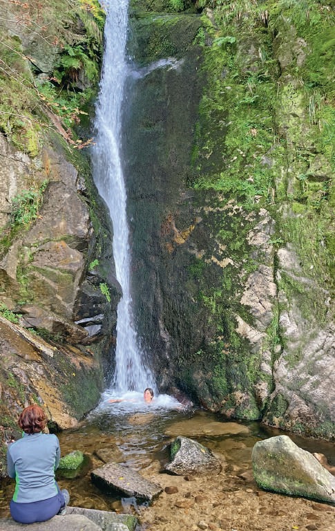 bain forêt