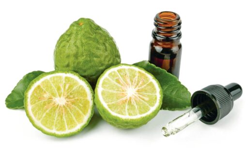 comment faire un jardin bio ?,bio-jardin,comment entretenir un jardin bio ?,au jardin bio,quelle terre pour jardin potager,jardin en biodynamie,jardin bio un moment pour soi,jardin bio produits,jardin bio petit bonheur,potager bio sans pesticide,jardin bio avis,jardin bio calme et sérénité,jardin bio etic,jardin biodiversité