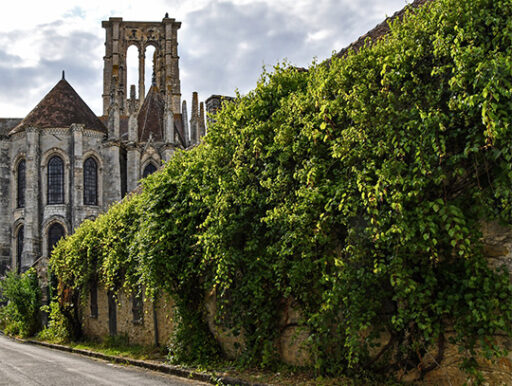 comment faire un jardin bio ?,bio-jardin,comment entretenir un jardin bio ?,au jardin bio,quelle terre pour jardin potager,jardin en biodynamie,jardin bio un moment pour soi,jardin bio produits,jardin bio petit bonheur,potager bio sans pesticide,jardin bio avis,jardin bio calme et sérénité,jardin bio etic,jardin biodiversité
