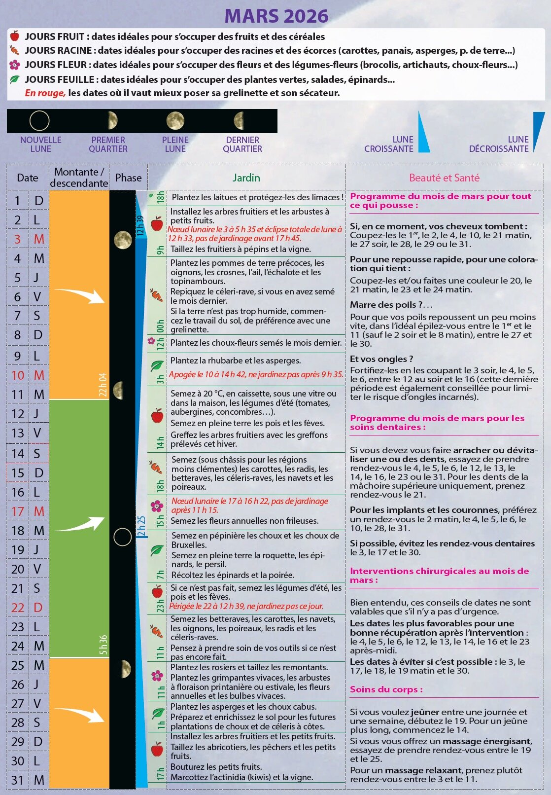 Plantes et soins selon le calendrier lunaire pour une santé optimale.