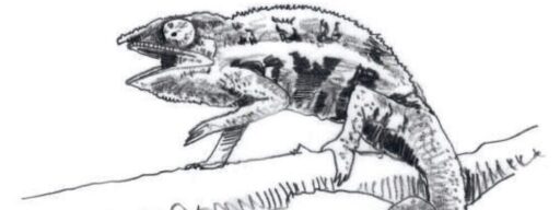 caméléon