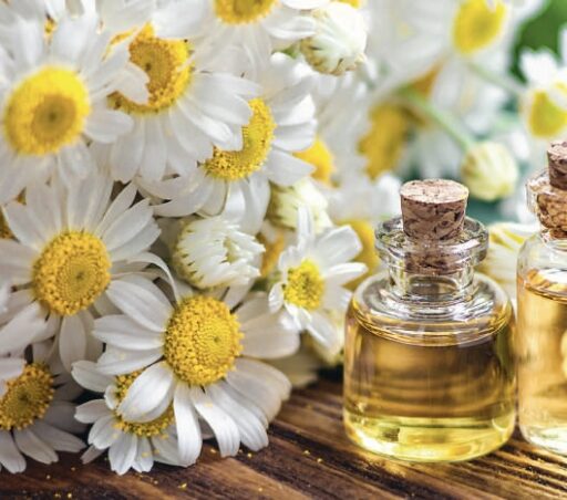 comment faire un jardin bio ?,bio-jardin,comment entretenir un jardin bio ?,au jardin bio,quelle terre pour jardin potager,jardin en biodynamie,jardin bio un moment pour soi,jardin bio produits,jardin bio petit bonheur,potager bio sans pesticide,jardin bio avis,jardin bio calme et sérénité,jardin bio etic,jardin biodiversité