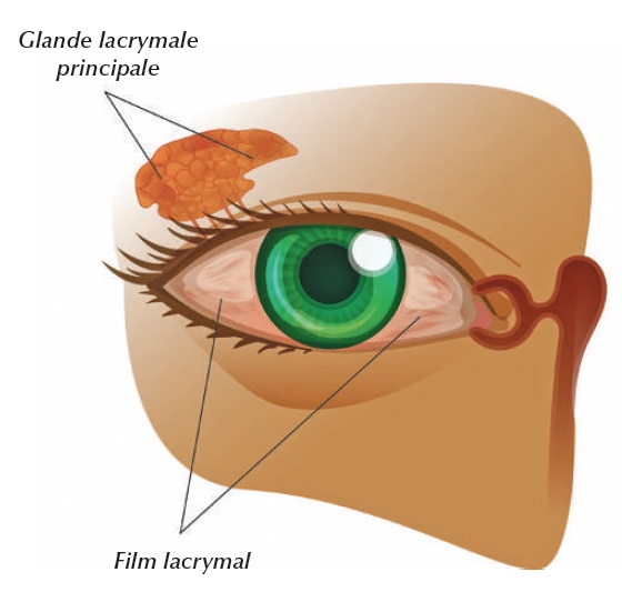Film lacrymal