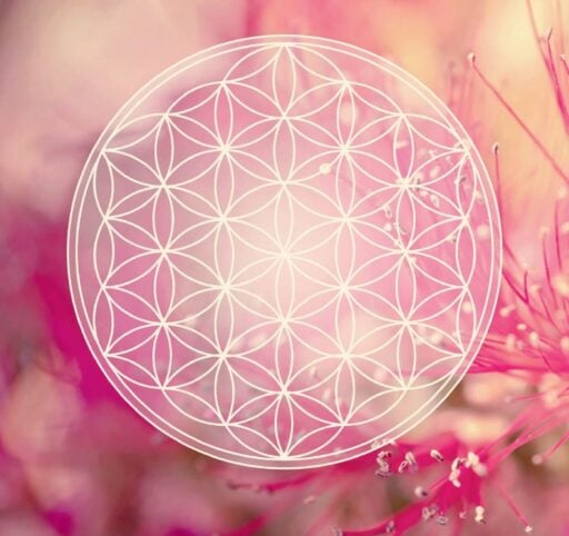 fleur de vie
