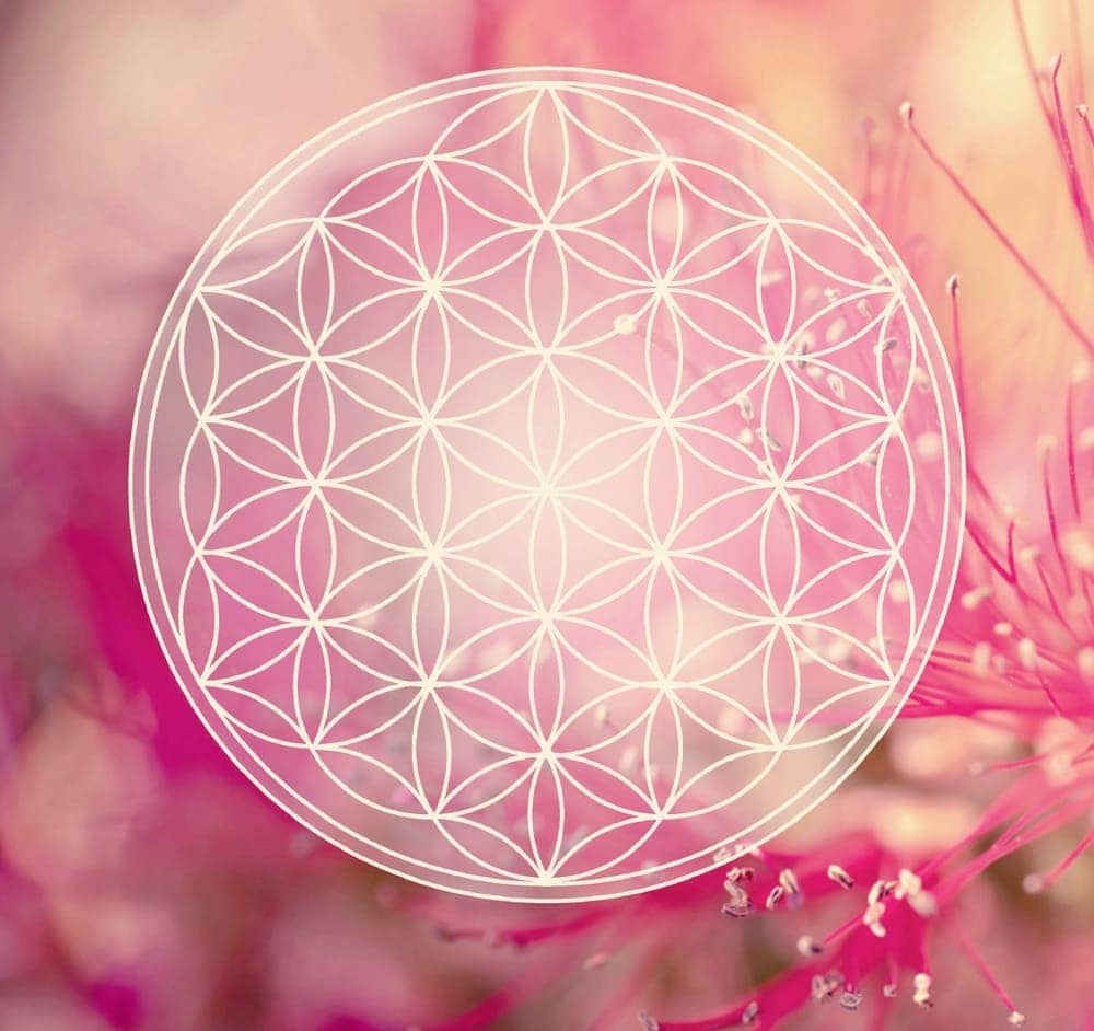 fleur de vie