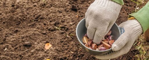comment faire un jardin bio ?,bio-jardin,comment entretenir un jardin bio ?,au jardin bio,quelle terre pour jardin potager,jardin en biodynamie,jardin bio un moment pour soi,jardin bio produits,jardin bio petit bonheur,potager bio sans pesticide,jardin bio avis,jardin bio calme et sérénité,jardin bio etic,jardin biodiversité