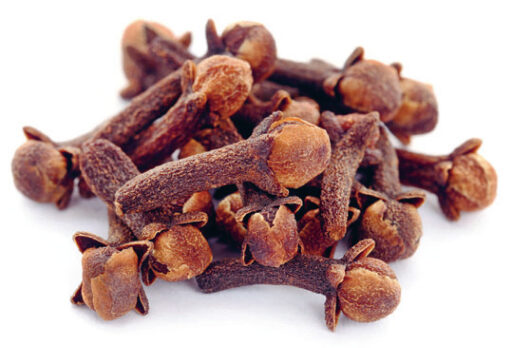 comment faire un jardin bio ?,bio-jardin,comment entretenir un jardin bio ?,au jardin bio,quelle terre pour jardin potager,jardin en biodynamie,jardin bio un moment pour soi,jardin bio produits,jardin bio petit bonheur,potager bio sans pesticide,jardin bio avis,jardin bio calme et sérénité,jardin bio etic,jardin biodiversité