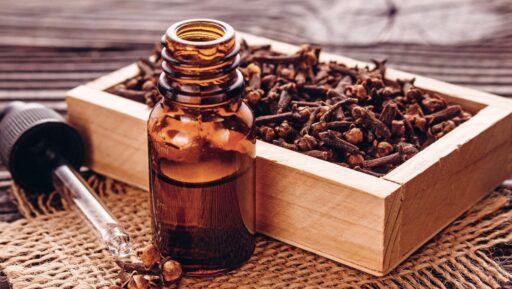 comment faire un jardin bio ?,bio-jardin,comment entretenir un jardin bio ?,au jardin bio,quelle terre pour jardin potager,jardin en biodynamie,jardin bio un moment pour soi,jardin bio produits,jardin bio petit bonheur,potager bio sans pesticide,jardin bio avis,jardin bio calme et sérénité,jardin bio etic,jardin biodiversité