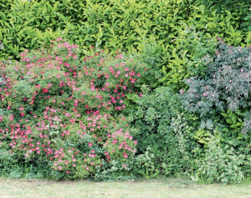 comment faire un jardin bio ?,bio-jardin,comment entretenir un jardin bio ?,au jardin bio,quelle terre pour jardin potager,jardin en biodynamie,jardin bio un moment pour soi,jardin bio produits,jardin bio petit bonheur,potager bio sans pesticide,jardin bio avis,jardin bio calme et sérénité,jardin bio etic,jardin biodiversité