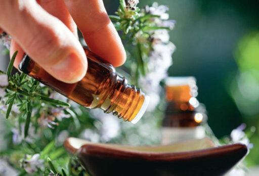 comment faire un jardin bio ?,bio-jardin,comment entretenir un jardin bio ?,au jardin bio,quelle terre pour jardin potager,jardin en biodynamie,jardin bio un moment pour soi,jardin bio produits,jardin bio petit bonheur,potager bio sans pesticide,jardin bio avis,jardin bio calme et sérénité,jardin bio etic,jardin biodiversité