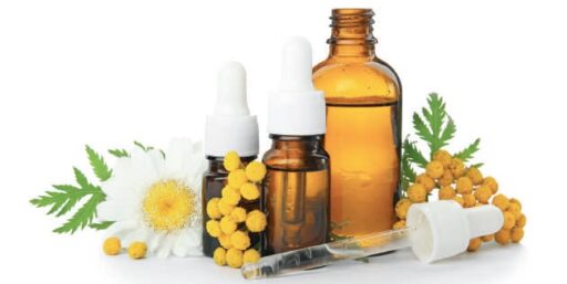 comment faire un jardin bio ?,bio-jardin,comment entretenir un jardin bio ?,au jardin bio,quelle terre pour jardin potager,jardin en biodynamie,jardin bio un moment pour soi,jardin bio produits,jardin bio petit bonheur,potager bio sans pesticide,jardin bio avis,jardin bio calme et sérénité,jardin bio etic,jardin biodiversité