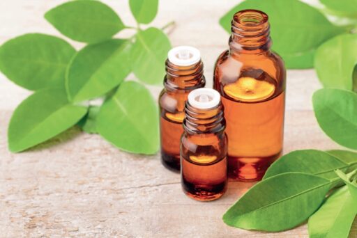 comment faire un jardin bio ?,bio-jardin,comment entretenir un jardin bio ?,au jardin bio,quelle terre pour jardin potager,jardin en biodynamie,jardin bio un moment pour soi,jardin bio produits,jardin bio petit bonheur,potager bio sans pesticide,jardin bio avis,jardin bio calme et sérénité,jardin bio etic,jardin biodiversité