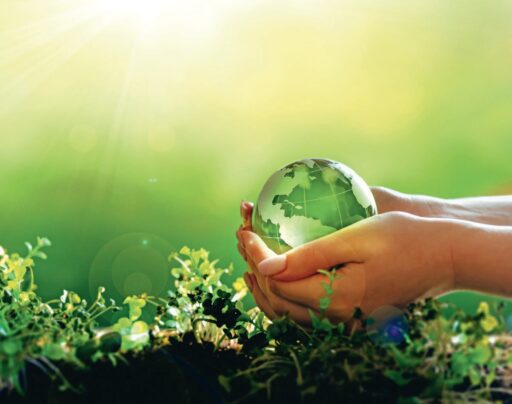 comment faire un jardin bio ?,bio-jardin,comment entretenir un jardin bio ?,au jardin bio,quelle terre pour jardin potager,jardin en biodynamie,jardin bio un moment pour soi,jardin bio produits,jardin bio petit bonheur,potager bio sans pesticide,jardin bio avis,jardin bio calme et sérénité,jardin bio etic,jardin biodiversité