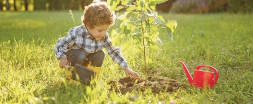 comment faire un jardin bio ?,bio-jardin,comment entretenir un jardin bio ?,au jardin bio,quelle terre pour jardin potager,jardin en biodynamie,jardin bio un moment pour soi,jardin bio produits,jardin bio petit bonheur,potager bio sans pesticide,jardin bio avis,jardin bio calme et sérénité,jardin bio etic,jardin biodiversité