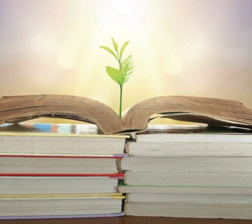 comment faire un jardin bio ?,bio-jardin,comment entretenir un jardin bio ?,au jardin bio,quelle terre pour jardin potager,jardin en biodynamie,jardin bio un moment pour soi,jardin bio produits,jardin bio petit bonheur,potager bio sans pesticide,jardin bio avis,jardin bio calme et sérénité,jardin bio etic,jardin biodiversité