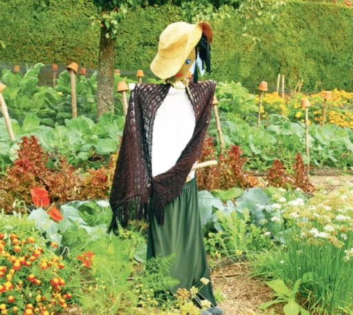 comment faire un jardin bio ?,bio-jardin,comment entretenir un jardin bio ?,au jardin bio,quelle terre pour jardin potager,jardin en biodynamie,jardin bio un moment pour soi,jardin bio produits,jardin bio petit bonheur,potager bio sans pesticide,jardin bio avis,jardin bio calme et sérénité,jardin bio etic,jardin biodiversité