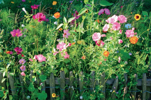 comment faire un jardin bio ?,bio-jardin,comment entretenir un jardin bio ?,au jardin bio,quelle terre pour jardin potager,jardin en biodynamie,jardin bio un moment pour soi,jardin bio produits,jardin bio petit bonheur,potager bio sans pesticide,jardin bio avis,jardin bio calme et sérénité,jardin bio etic,jardin biodiversité