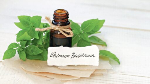 comment faire un jardin bio ?,bio-jardin,comment entretenir un jardin bio ?,au jardin bio,quelle terre pour jardin potager,jardin en biodynamie,jardin bio un moment pour soi,jardin bio produits,jardin bio petit bonheur,potager bio sans pesticide,jardin bio avis,jardin bio calme et sérénité,jardin bio etic,jardin biodiversité