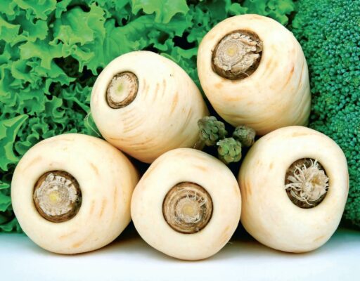 comment faire un jardin bio ?,bio-jardin,comment entretenir un jardin bio ?,au jardin bio,quelle terre pour jardin potager,jardin en biodynamie,jardin bio un moment pour soi,jardin bio produits,jardin bio petit bonheur,potager bio sans pesticide,jardin bio avis,jardin bio calme et sérénité,jardin bio etic,jardin biodiversité